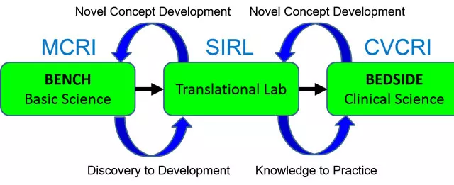 CVCRI Figure