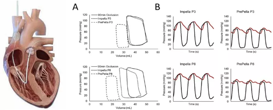 Kapur Lab Figure 4