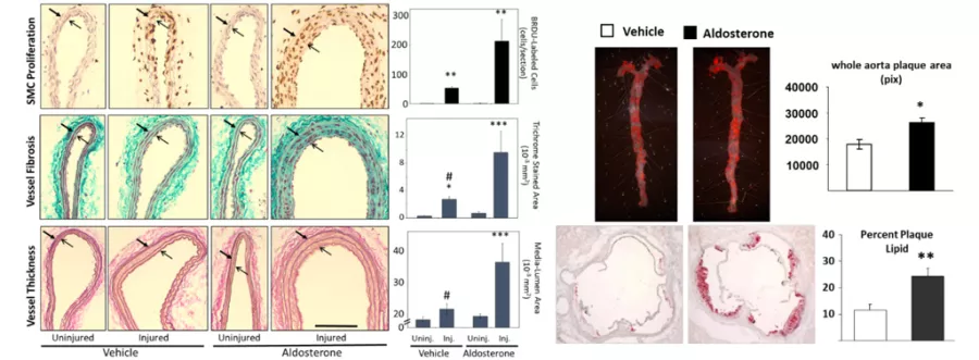 jaffe lab figure 1