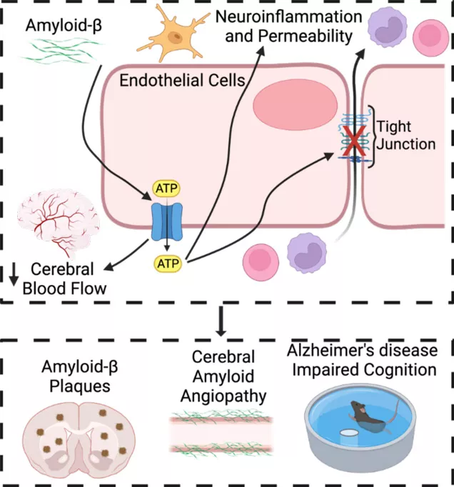 Good Lab Figure 2