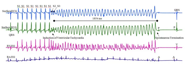 galper lab figure 3