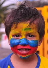 Ecuador banner