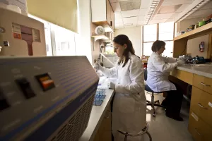 Research associate and staff nurse working in laboratory in the Clinical and Translational Research Center.