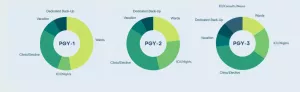 Training Program Overall Structure PGY Donut Schedule 2024