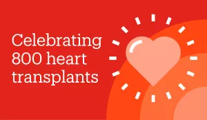 Graphic celebrating 800 heart transplants at Tufts Medical Center