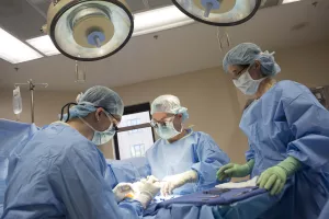 Charles Cassidy, MD (Orthopaedist-in-Chief at Tufts Medical Center) performing hand surgery with help of team.